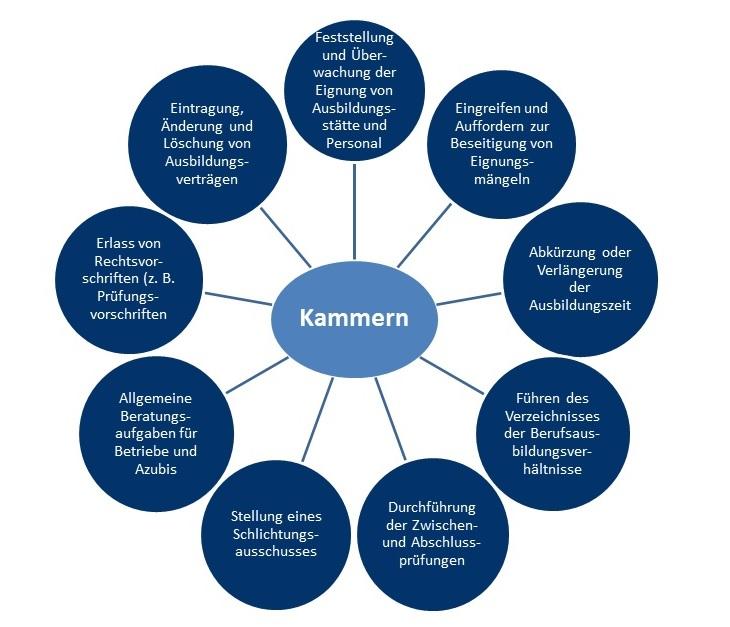 Grafik zu den Aufgaben der Kammern