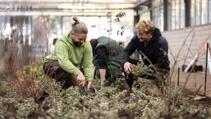 Zwei Arbeiter in Gewächshaus
